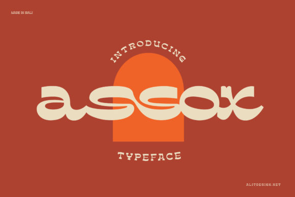 Discover the Charming Assox Display Font