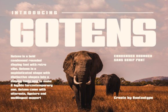 Gotens: A Bold Display Font for Modern Branding
