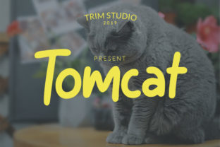 Tomcat: A Playful Display Font for Fun Designs